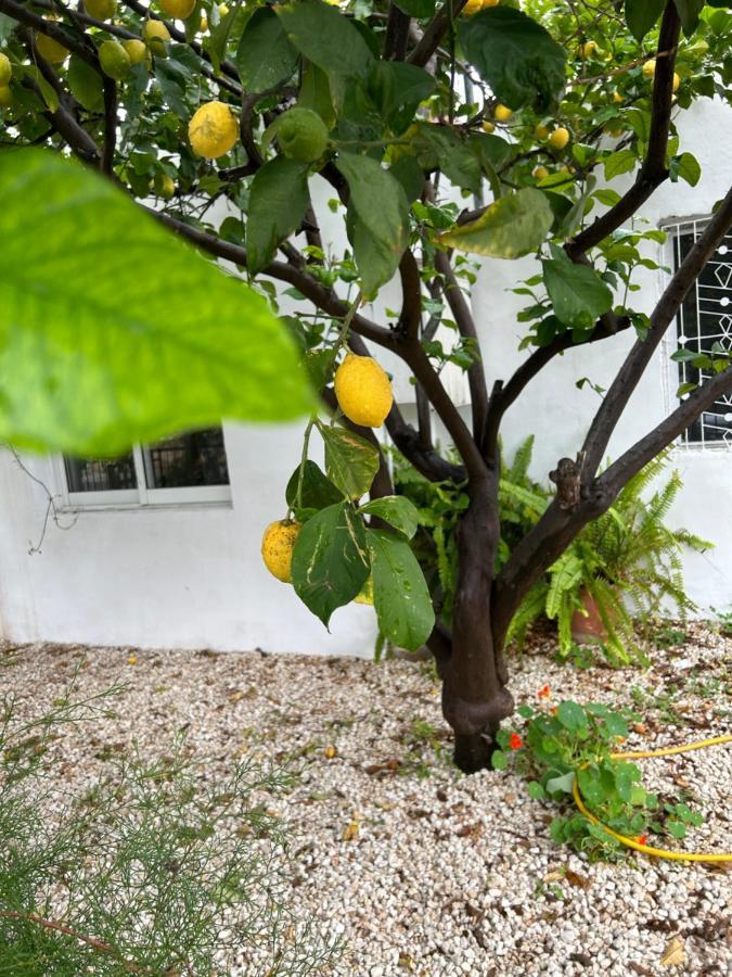 Avra House Villa Limassol Kültér fotó