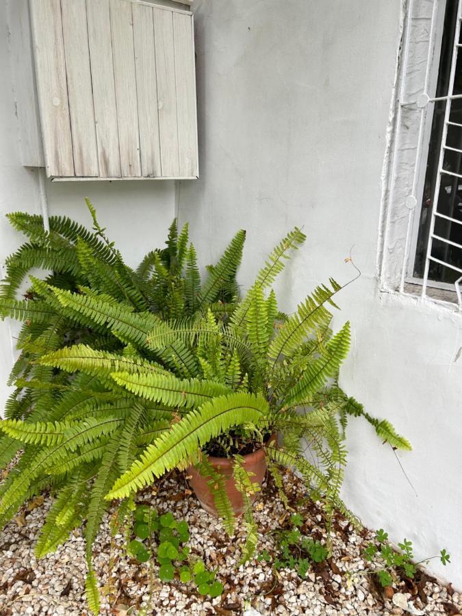Avra House Villa Limassol Kültér fotó